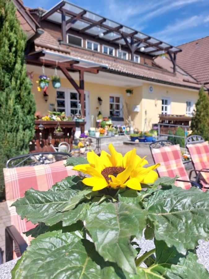 Hotel Zum Poppschen Gut Olbernhau Exterior photo